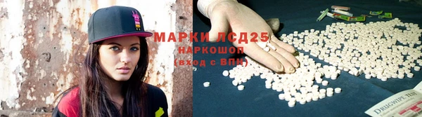 стафф Новокубанск
