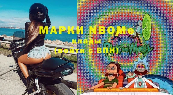 стафф Новокубанск
