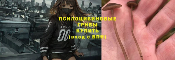прущий лед Губаха
