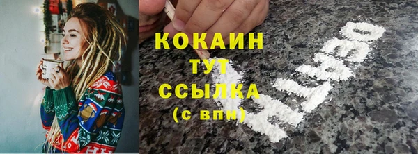 ПСИЛОЦИБИНОВЫЕ ГРИБЫ Новодвинск