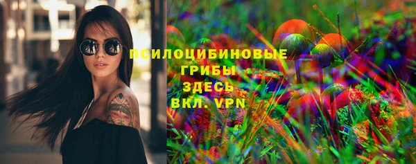 ПСИЛОЦИБИНОВЫЕ ГРИБЫ Новодвинск