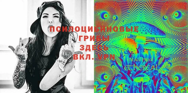 ПСИЛОЦИБИНОВЫЕ ГРИБЫ Новодвинск