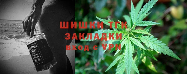 ПСИЛОЦИБИНОВЫЕ ГРИБЫ Новодвинск