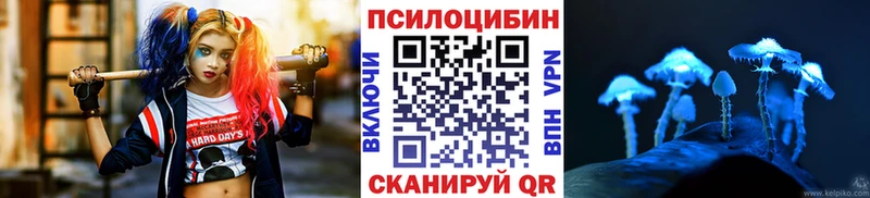 Псилоцибиновые грибы Psilocybe  blacksprut ссылки  Ирбит 