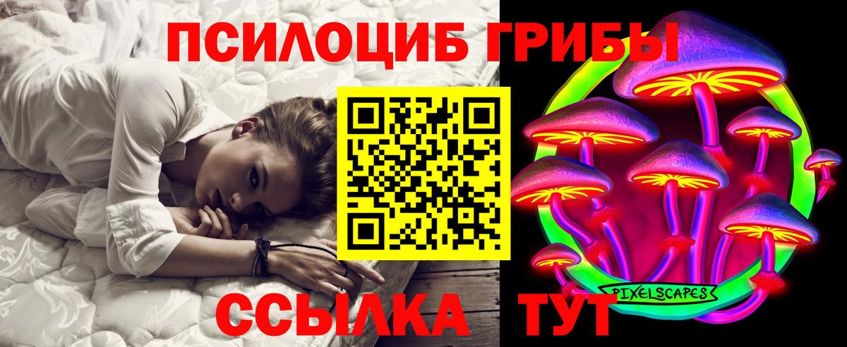 Галлюциногенные грибы Psilocybe  Ирбит 