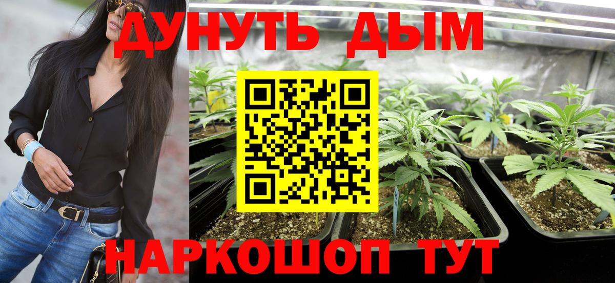 Шишки марихуана планчик  Конопля конопля  Вход с VPN  Ирбит 